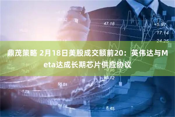 鼎茂策略 2月18日美股成交额前20：英伟达与Meta达成长期芯片供应协议